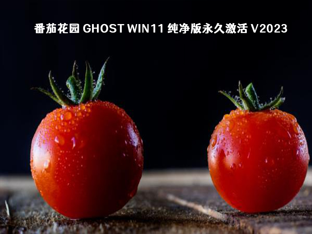 Win11 23H2纯净版下载_番茄花园 Ghost Win11 纯净版永久激活2023最新下载