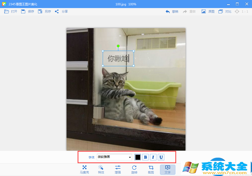 2345看图王如何添加文字？2345看图王给图片添加文