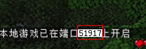 pcl2启动器怎么联机?具体连接教程分享