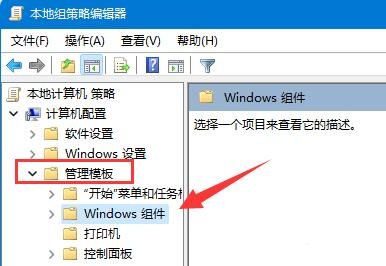 win11怎么关闭显卡驱动更新?win11显卡驱动更新关闭方法