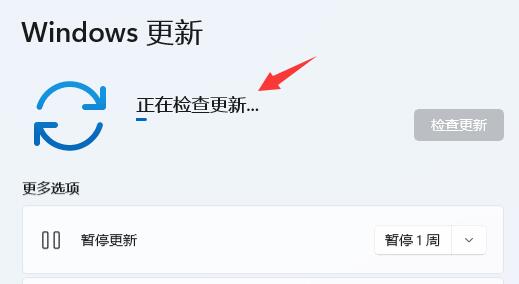 win11分辨率锁死1024×768怎么办?win11分辨率锁死解决方法
