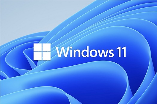 Win11外接显示器没反应怎么办?