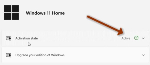 win11激活状态怎么看?win11查看系统激活状态教学