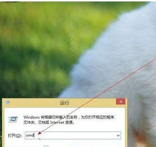 Win8系统如何进入dos界面?