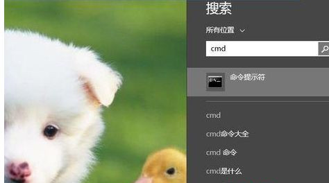 Win8系统如何进入dos界面?