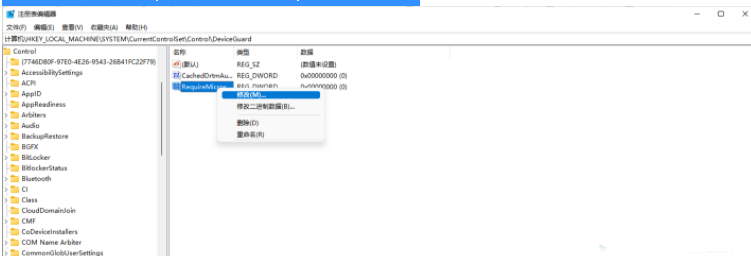 Win11运行VMware蓝屏?Win11VMware虚拟机蓝屏解决办法