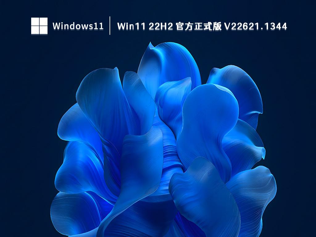Win11 22H2最新版下载_Win11 22H2 22621.1344(KB5022913)官方正式版下载