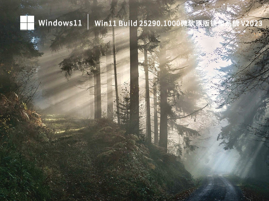 Win11 Dev系统最新下载_微软Win11 25290.1000原版镜像系统下载2023