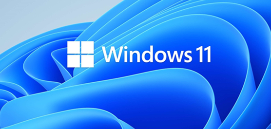 怎么免安装体验Win11?免安装体验Win11的方法