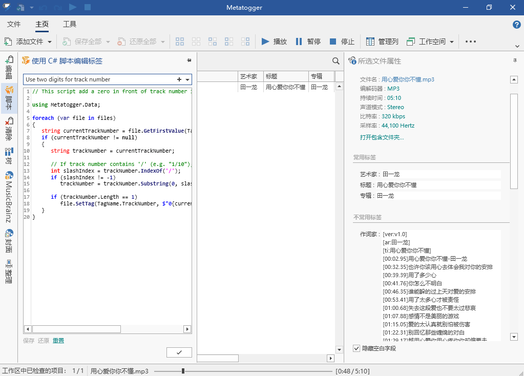 Metatogger v7.2.2.4 音频文件标签编辑器多语言免费版