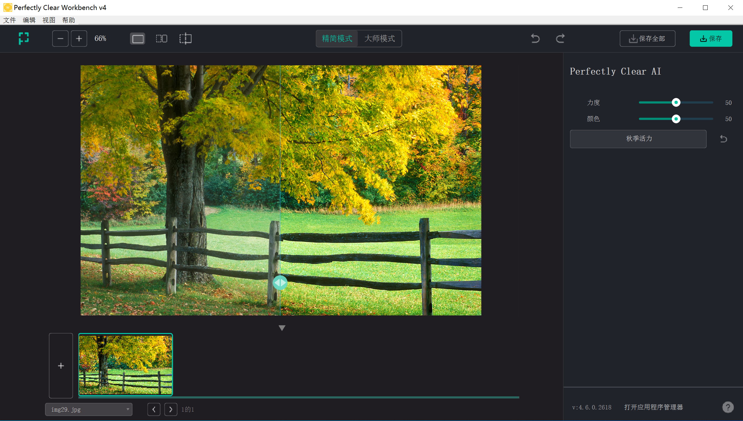 Perfectly Clear WorkBench 4.6.0.2618 x64/macOS Multilingual 中文注册版