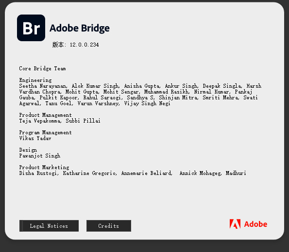 Adobe Bridge 2023 v13.0.3.693 Multilingual 正式版