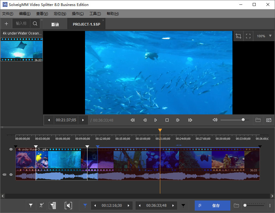 SolveigMM Video Splitter Portable