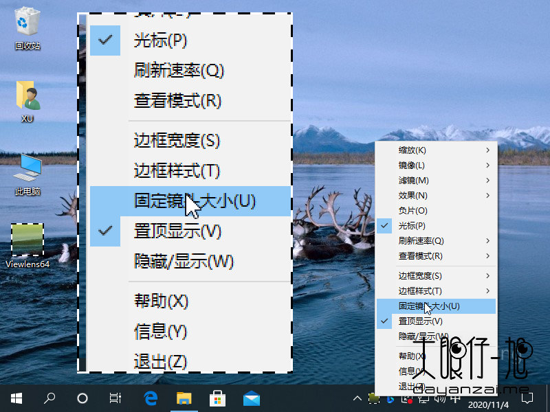 Windows 增强放大镜工具 Viewlens 4 中文版