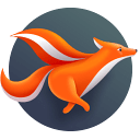 一键增强浏览器加速工具 SpeedyFox 2.0.30 绿色汉化版下载