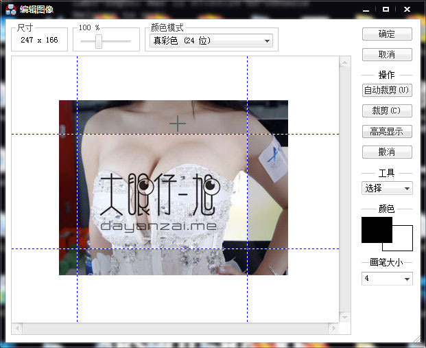 绿色小巧的截图打印工具 DeskSoft HardCopy Pro 4.9.0 绿色汉化版下载