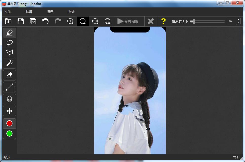 Inpaint9.1