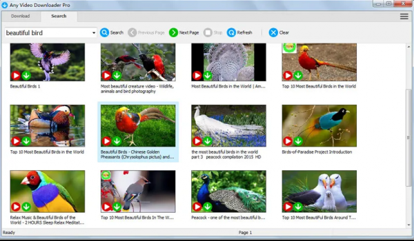视频下载工具软件下载_Any Video Downloader Pro激活破解版7.30.2