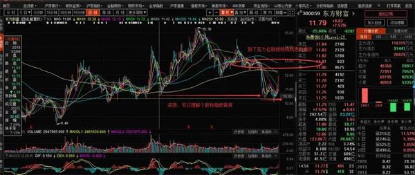 东方财富软件下载-东方财富专业版10.3.1.10132