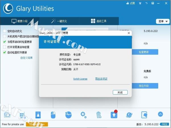 Glary Utilities Pro