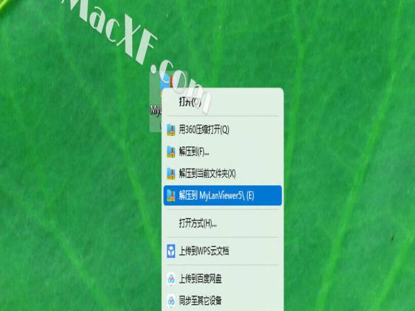 MyLanViewer