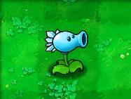 植物大战僵尸破解版[测试能用]_植物大战僵尸中文版破解版 免安装中文版下载