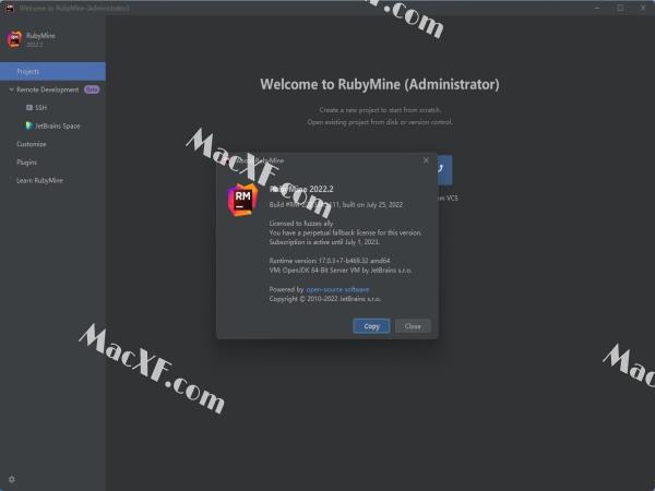 RubyMine 2022