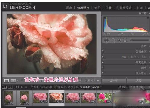 lrc2022中文