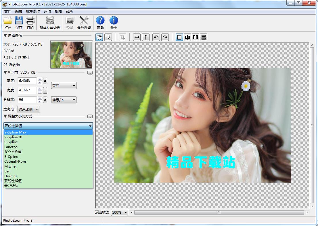 PhotoZoom8专业