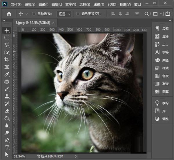 Photoshop 2022破解版[亲测可用]_Photoshop 2022破解版 v23.0.0.36直装破解版(附图文激活教程)下载