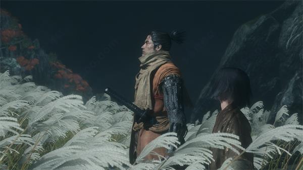 只狼破解版[测试能用]_只狼影逝二度破解版 v1.02中文绿色版下载