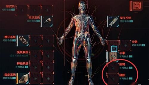 赛博朋克2077未加密版破解版[含破解补丁]_赛博朋克2077未加密破解版 v1.52免安装中文版下载