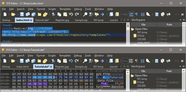 010editor完美破解版_010editor汉化破解版 v12.1免安装绿色版下载