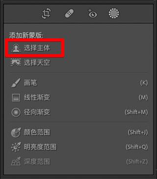 lr2022破解版[含破解补丁]_lr2022中文破解版(附安装教程) v11.0直装版下载