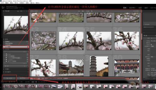 lr2022破解版[含破解补丁]_lr2022中文破解版(附安装教程) v11.0直装版下载