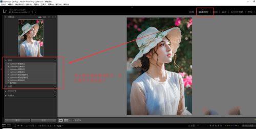 lr2022破解版[含破解补丁]_lr2022中文破解版(附安装教程) v11.0直装版下载