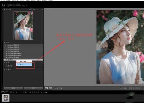 lr2022破解版[含破解补丁]_lr2022中文破解版(附安装教程) v11.0直装版下载
