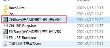 burpsuite2021破解版[附安装包]_burpsuite2021汉化破解版 附安装步骤下载