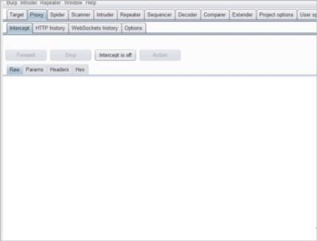 burpsuite2021破解版[附安装包]_burpsuite2021汉化破解版 附安装步骤下载