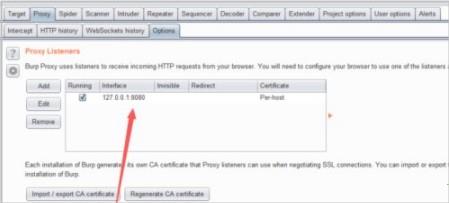 burpsuite2021破解版[附安装包]_burpsuite2021汉化破解版 附安装步骤下载
