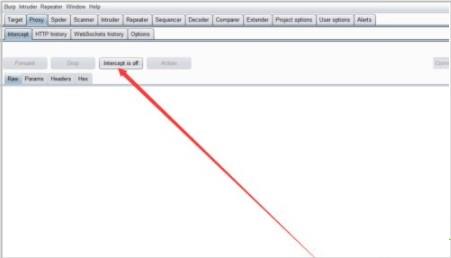 burpsuite2021破解版[附安装包]_burpsuite2021汉化破解版 附安装步骤下载