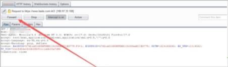 burpsuite2021破解版[附安装包]_burpsuite2021汉化破解版 附安装步骤下载