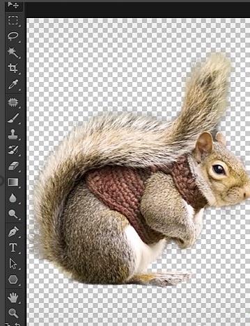 photoshop2022精简破解版 v23.1.1中文版下载