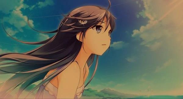 iris pro中文破解版(附安装教程) v1.1.1附教程下载