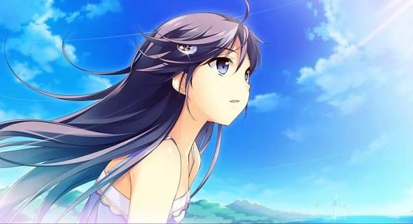 iris pro中文破解版(附安装教程) v1.1.1附教程下载