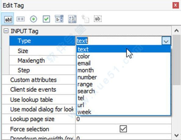PHPMaker2022完美破解版_PHPMaker v2022.0中文破解版(附安装教程)下载