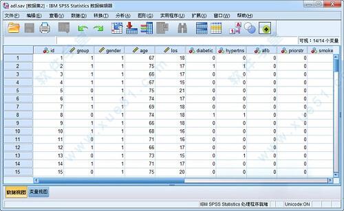 IBM SPSS Statistics 25中文破解版
