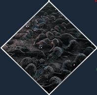 瘟疫传说无罪吾爱破解版下载 _瘟疫传说无罪 v1.0吾爱破解版