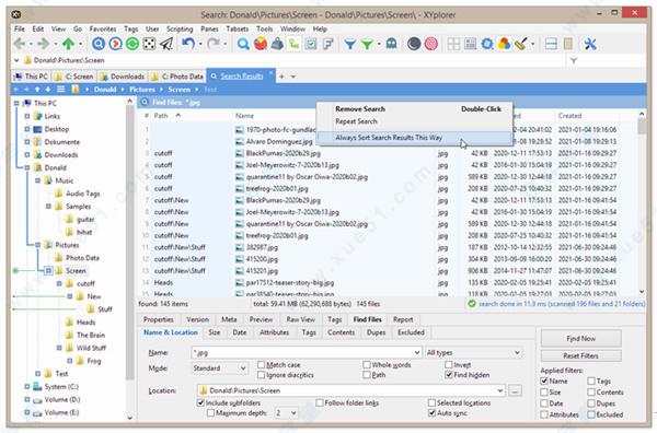 XYPlorer 22破解版[附安装包] _XYPlorer 22 v1.0汉化破解版下载