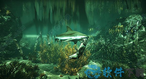 食人鲨破解版[含cpy补丁] _食人鲨maneater v1.0破解版下载